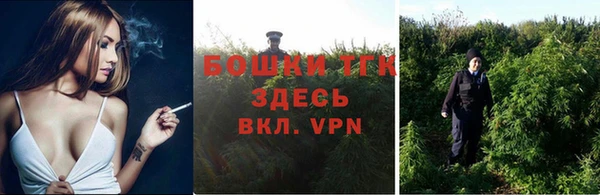 тгк Лиски
