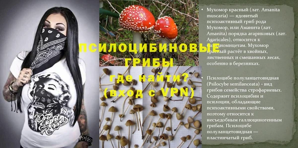 мдпв Липки