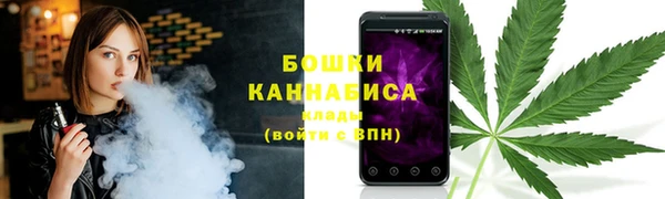 мдпв Липки