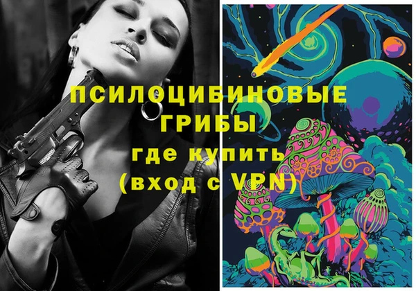 мдпв Липки