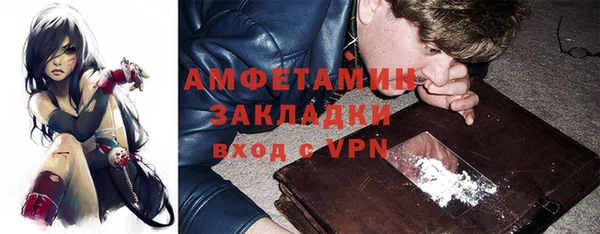 молекула духа Фёдоровский