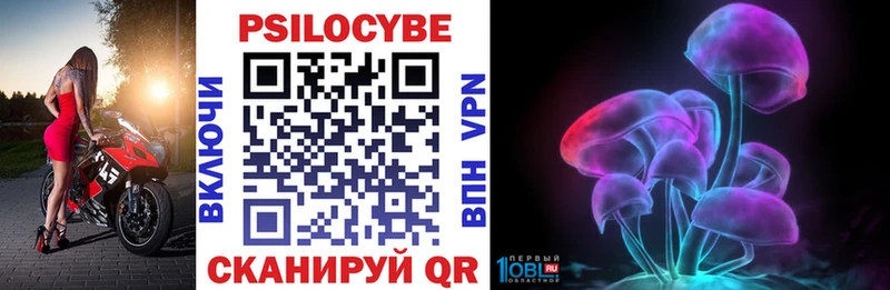 MEGA tor  Щигры  Галлюциногенные грибы Psilocybine cubensis 